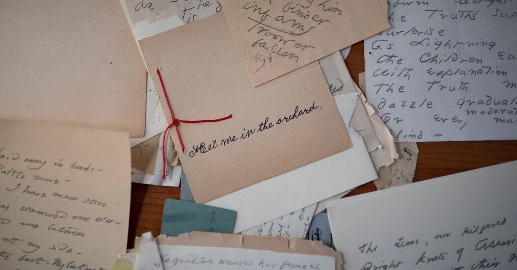 Marketing-Promotion Banner